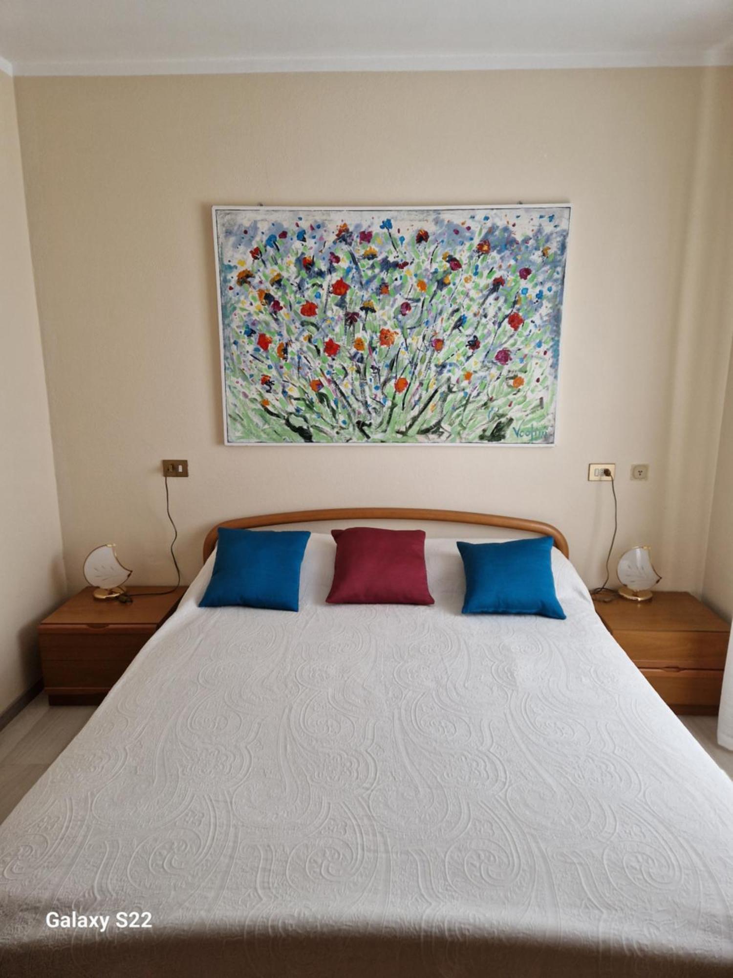 Da Daniele Apartment Гросио Екстериор снимка